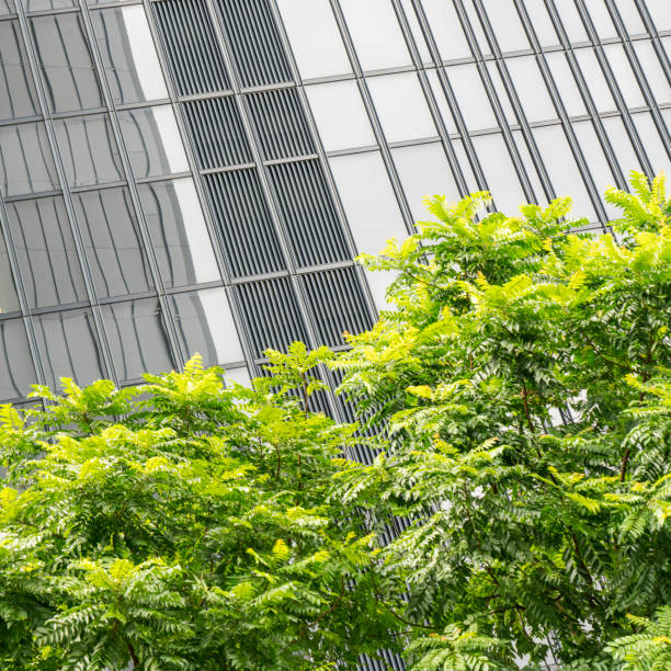 istock green leaves front of office building 643560274