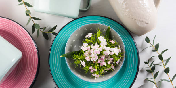 istock Spring crockery concept with tulips flowers pastel color 643562828