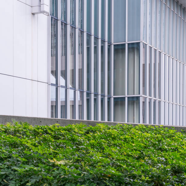 istock green bush front of office building 643570800