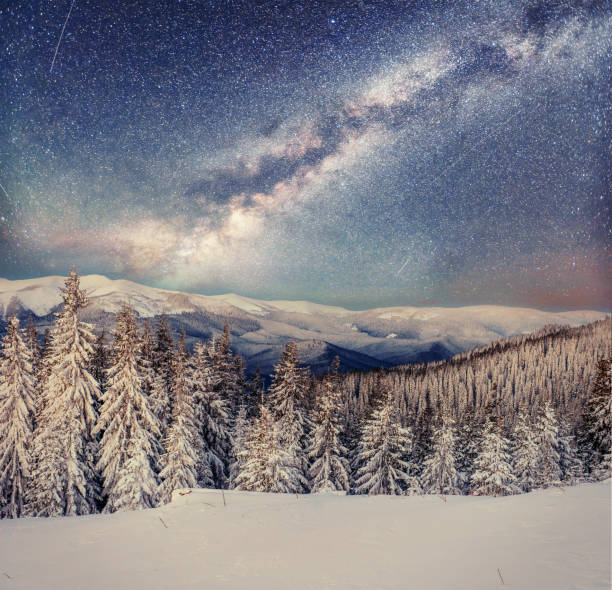 istock Dairy Star Trek in the winter woods 643574316