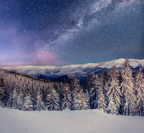 istock Dairy Star Trek in the winter woods 643574390