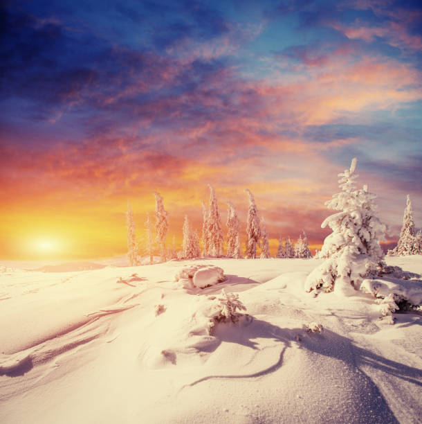 istock Fabulous winter landscape in the mountains 643574490