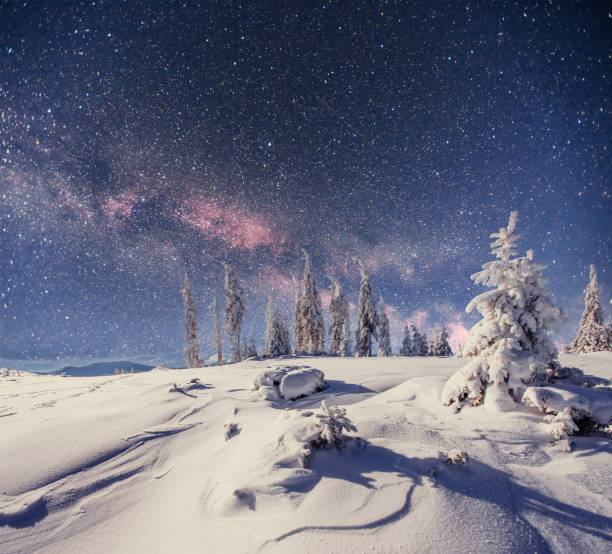 istock Dairy Star Trek in the winter woods 643574520