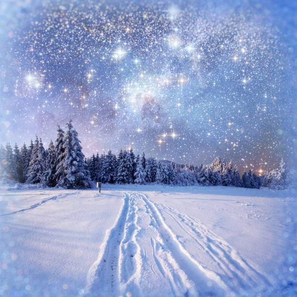 istock starry sky in winter snowy night. 643575006