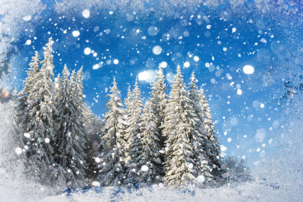 istock winter landscape trees snowbound, bokeh background with snowflak 643575414