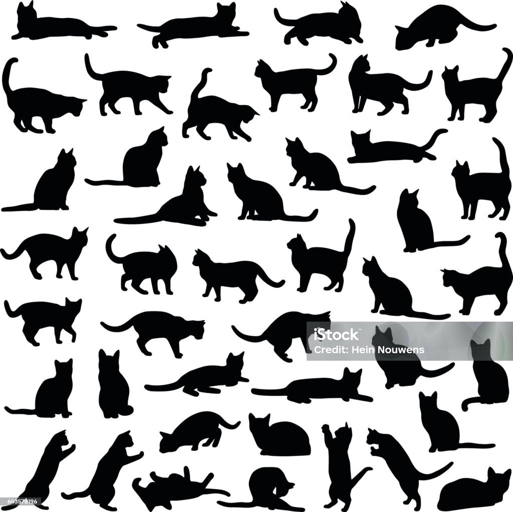 猫コレクション - ベクター シルエット - 飼い猫のロイヤリティフリーベクトルアート