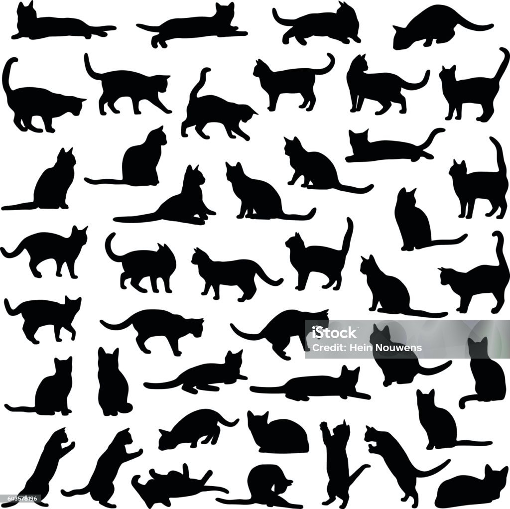 Kat collectie - vector silhouet - Royalty-free Huiskat vectorkunst