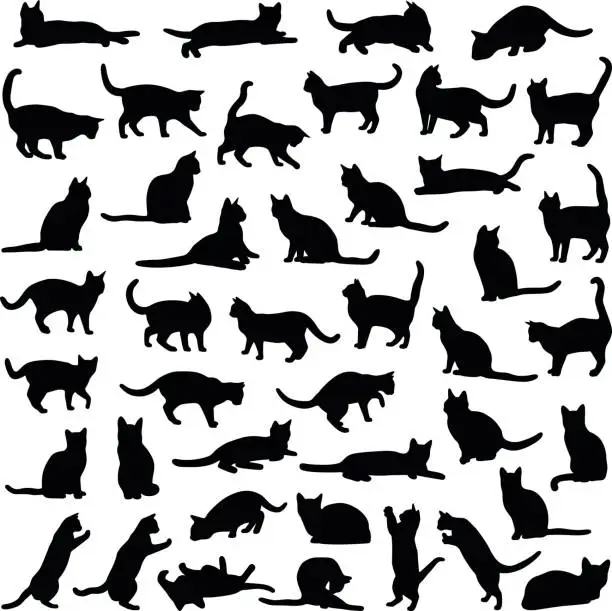 Vector illustration of Cat collection - vector silhouette