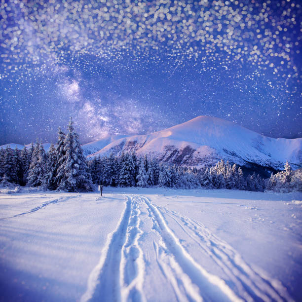 istock starry sky in winter snowy night. 643581626