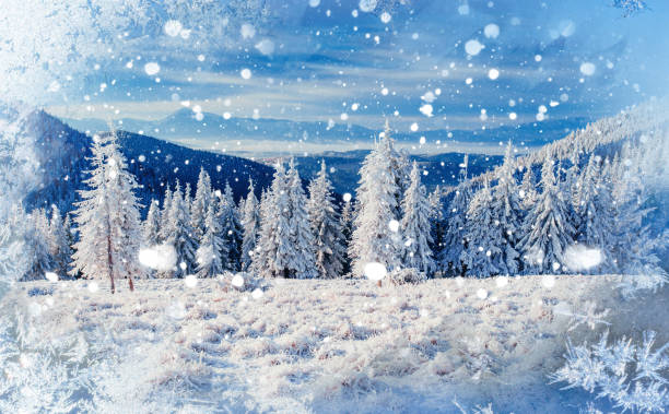 istock magical winter snow covered tree, background with some soft high 643581748