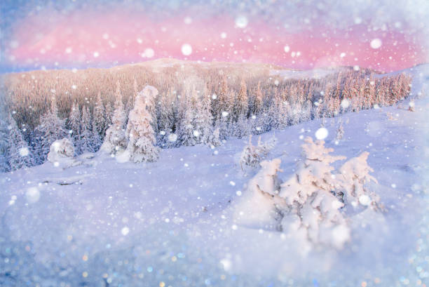 istock magical winter snow covered tree, background with some soft high 643581762