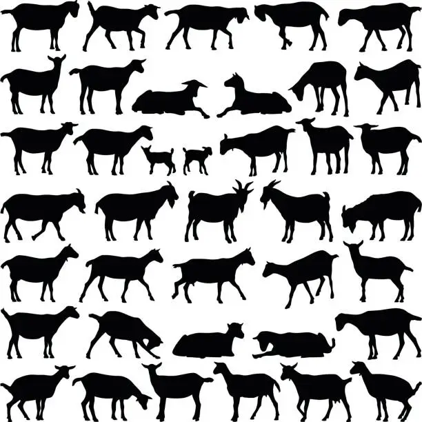 Vector illustration of Goat collection - vector silhouette