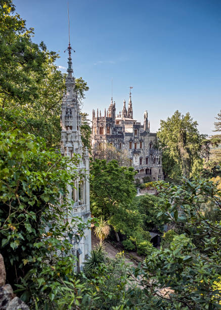 Portugal , Sintra . Palace Regaleira is typical Gothic architectural elements , such as turrets, gargoyles, and a tower in the shape of an octagon. Magnificent park .