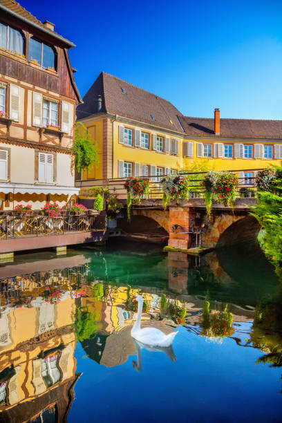 istock Town of Colmar 643617000