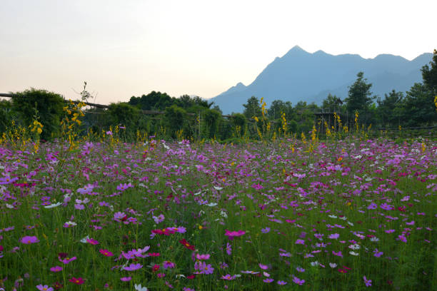 istock The beauty of nature around us. 643619580