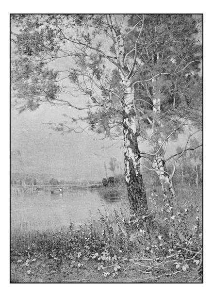 istock Antique photo of paintings: Landscape 643619732