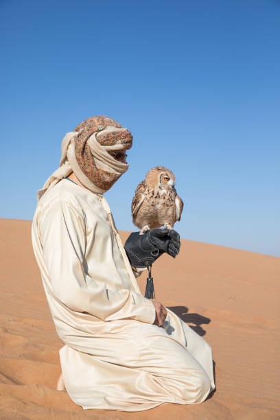 istock Young male pharaoh eagle owl (bubo ascalaphus) during a desert falconry show in Dubai, UAE. 643624962