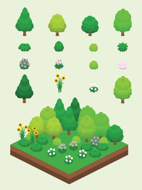 아이소메트릭 여름 식물 설정 - landscape tree flower vector stock illustrations