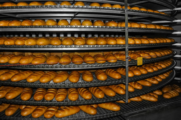 Production of bread at the bakery stock photo