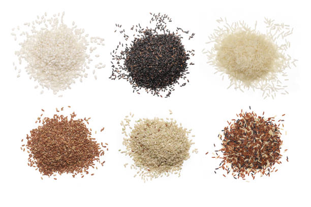 Set of various rice Set of various rice isolated on white background: glutinous, black, basmati, brown and red mixed rice. Top view. jasmine rice stock pictures, royalty-free photos & images