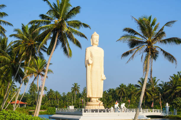 istock Buddha Statue at Tsunami Honganji Viharaya 643640572