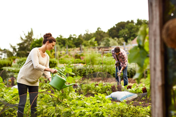 istock Giving their garden the care it needs 643644600
