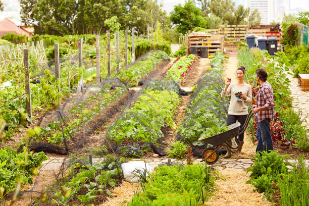 Shot of a mature couple working in their organic couple