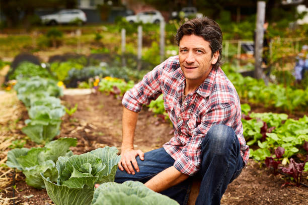 istock My veggies are growing better than ever 643644680