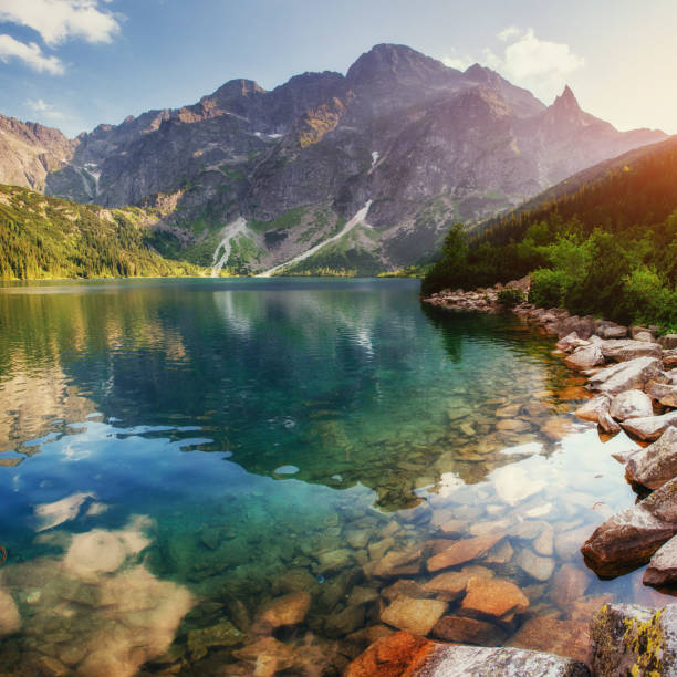 레이브 연강에서 있는 tatras 바다빛 눈. 준정장 - tatra mountains zakopane lake mountain 뉴스 사진 이미지