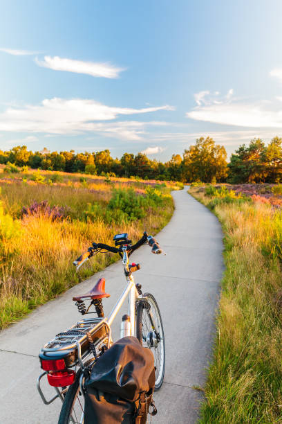 電動自転車で、オランダ国立公園 veluwe - ヘルデルラント州 ストックフォトと画像