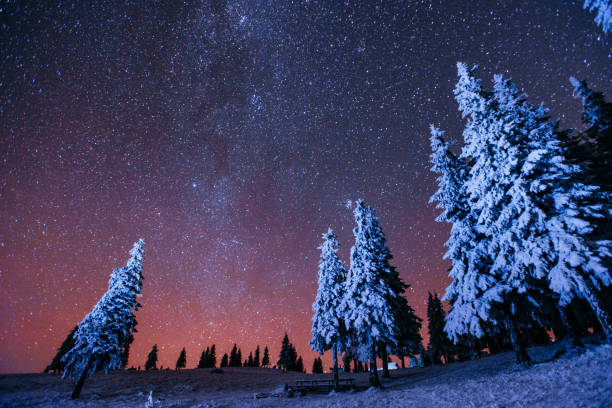 istock magic tree in starry winter night. fantastic milky way in the Ne 643663400