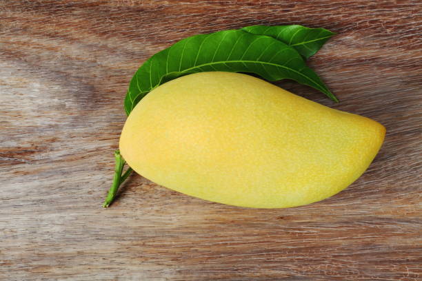 Closeup single ripe mango on wood background. stock photo