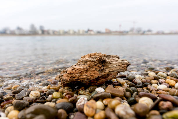 Beach property on the riverbank