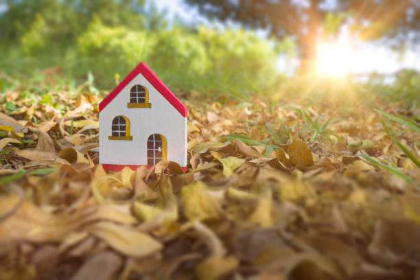 istock Miniature wooden house in the forest 643678228