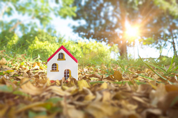 istock Miniature wooden house in the forest 643678240