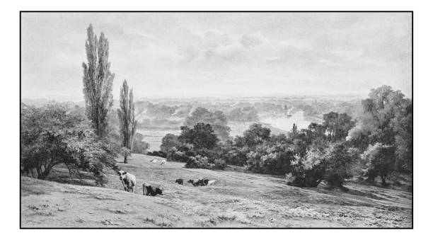 Antique dotprinted photo of paintings: Landscape