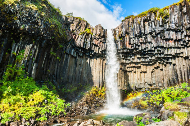 istock Svartifoss waterfall in Skaftafell national park, Iceland. 643690684