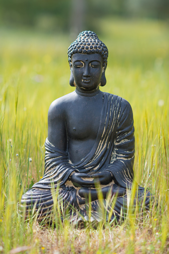 sitting Buddha figurine - Meditation or Zen