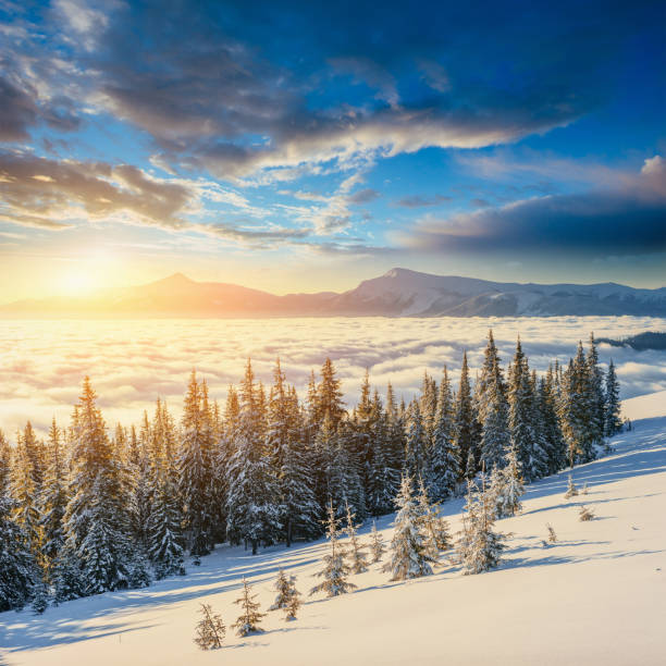 istock fog in winter mountains. Fantastic sunset. Carpathians. Ukraine. 643708242