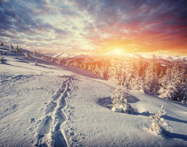istock Fantastic winter landscape and trodden trails that lead into the 643708382