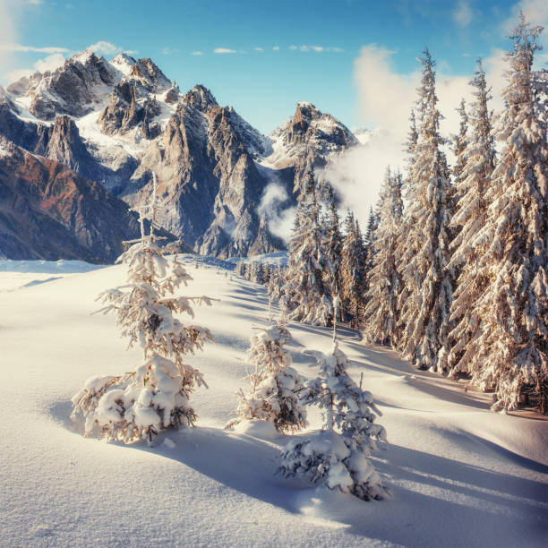 istock Mysterious winter landscape majestic mountainsin 643708490