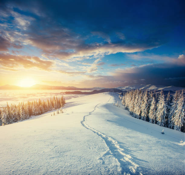 istock Fantastic winter landscape and trodden trails that lead into the 643708640
