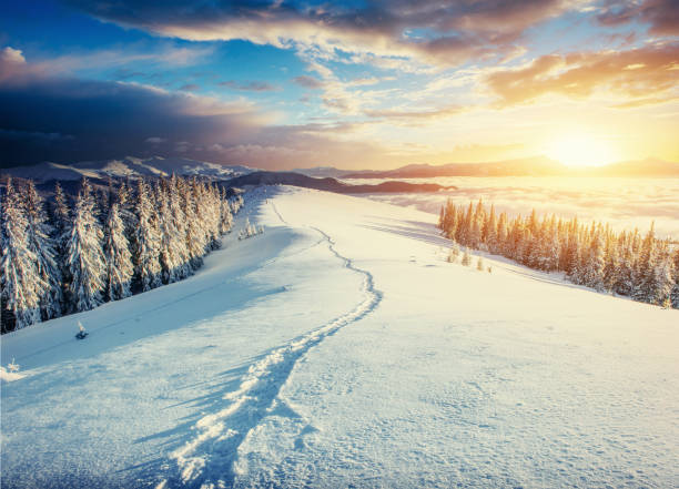 istock Fantastic winter landscape and trodden trails that lead into the 643708650