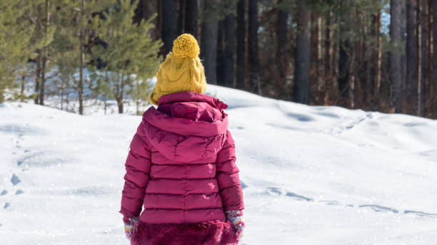 istock Back view of young child in winter nature 643711238