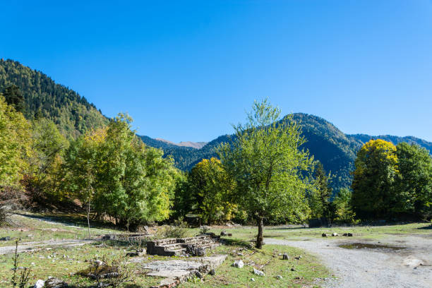 istock Autumn in the Caucasus mountains, Abkhazia. 643722976