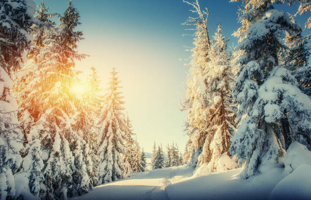 istock the winter road. Carpathian, Ukraine, Europe 643731486