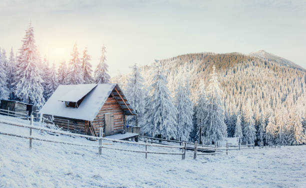 istock Winter landscape of snow-covered trees 643739412