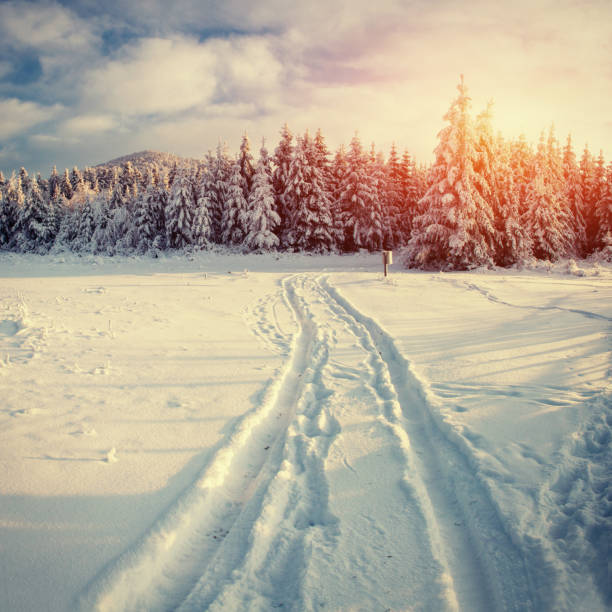 istock Winter road. Mysterious landscape 643739478
