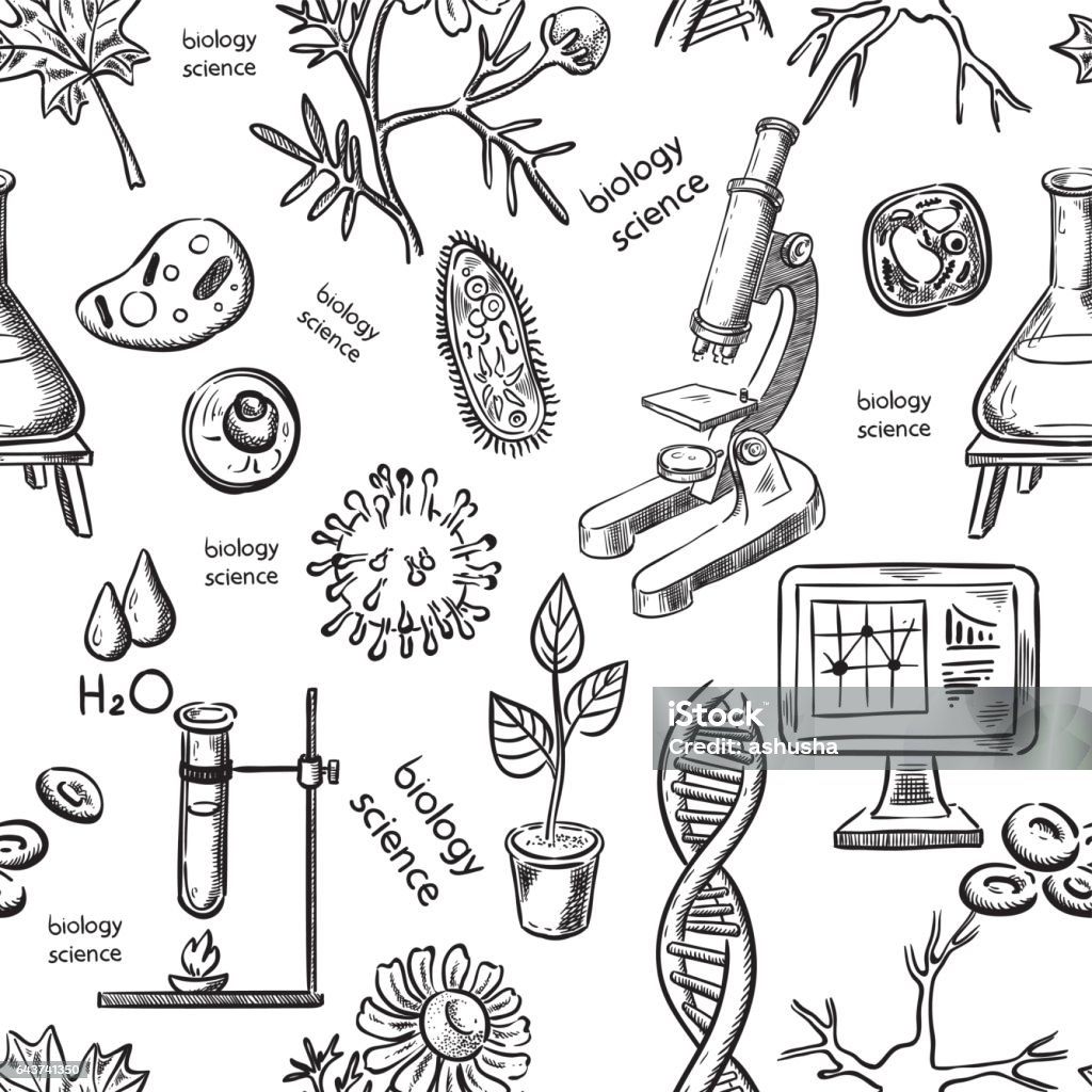 Khoa Học Sinh Học Vẽ Tay Liền Mạch Hình minh họa Sẵn có - Tải ...