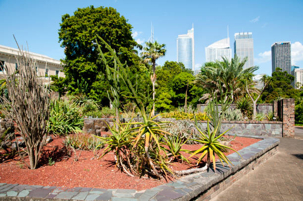 botanischer garten - sydney - australien - royal botanical garden stock-fotos und bilder